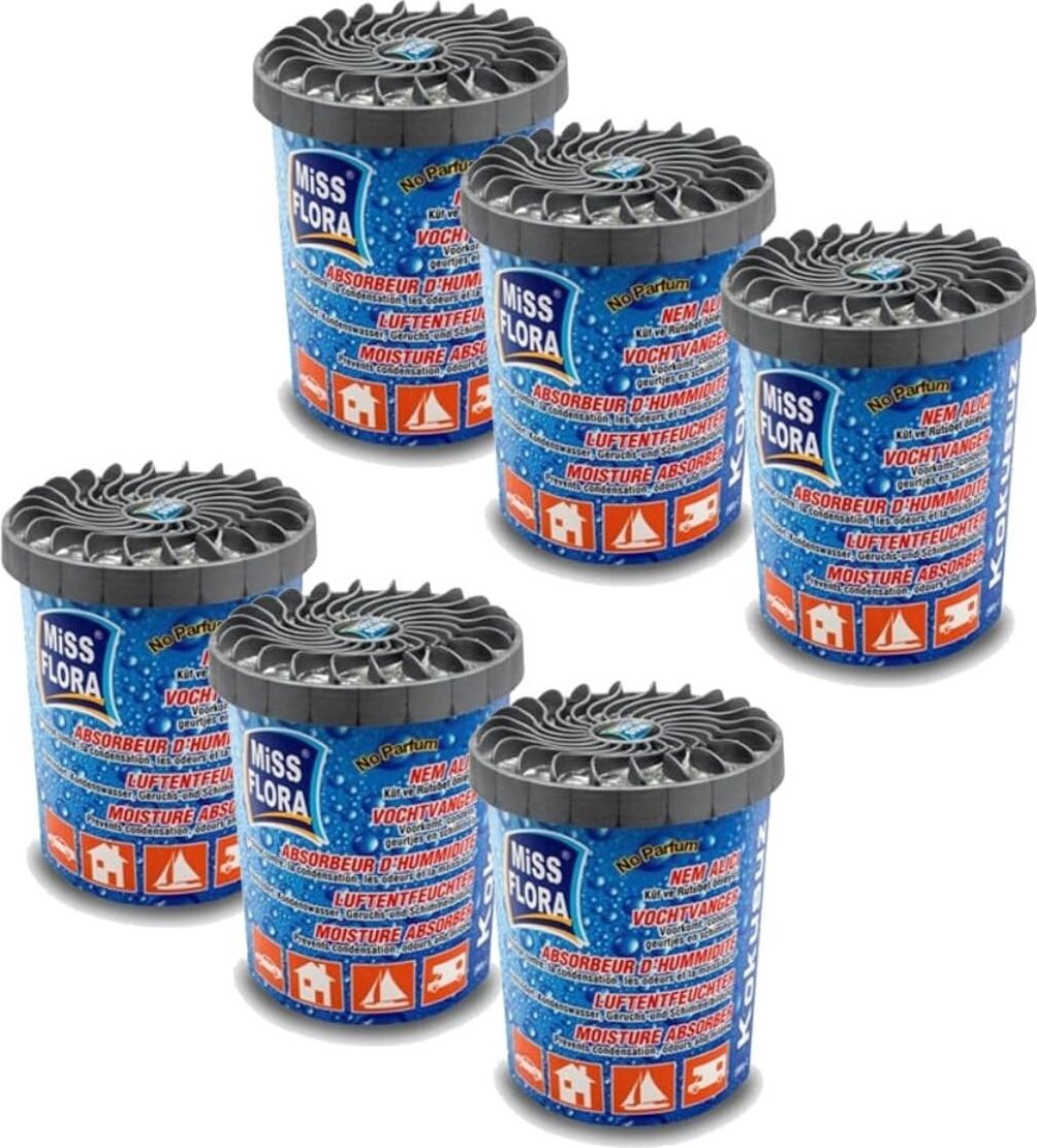Flora Nem Alıcı 200 G 6'lı Paket