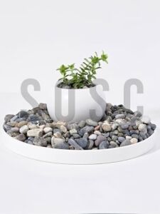 Doğal Nazilli Dere Çakıl Taşı, Tamburlanmış Dekoratif Taş, 1-2 Cm, 1 Kg, Saksı Dibi, Akvaryum ve Bahçe Düzenleme Için
