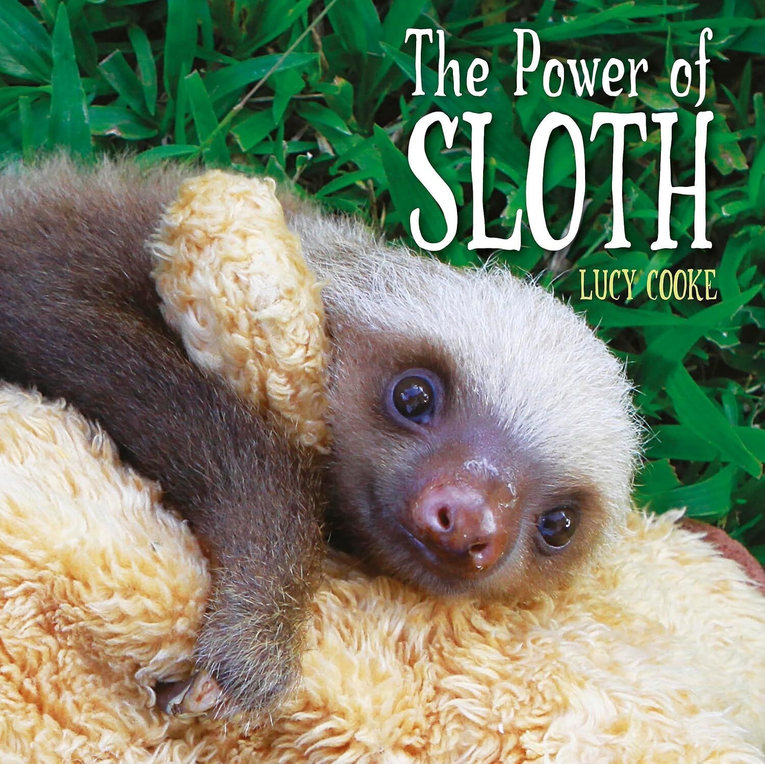 The Power Of Sloth