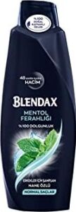 Erkekler Için Mentol Ferahlığı Nane Özlü Şampuan, 500 ml