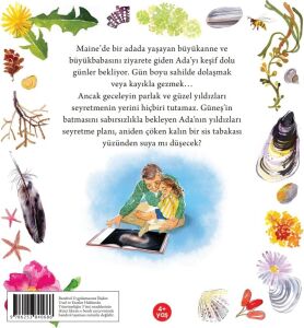 Ada ve Galaksiler