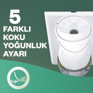 Elektrikli Oda Kokusu Cihaz Yedek Şişe Kış Masalı Kış Gülü ve Kar Böğürtleni