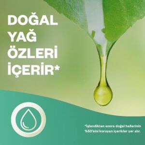Elektrikli Oda Kokusu Cihaz Yedek Şişe Kış Masalı Kış Gülü ve Kar Böğürtleni