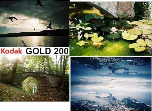 1  Gold 200 135/36