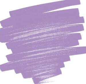 Pilot Pintor Ef, Pastel Mor