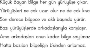 Küçük Bayan Bilge