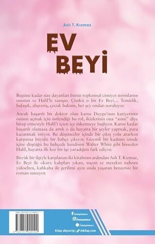 Ev Beyi