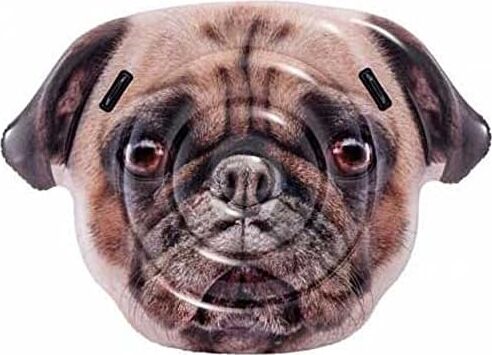 Badeinsel Pug
