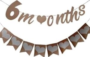 Elyazılı 6 Months Kraft Retro Banner ve 8 Li Kraft Kalp Banner Süs 2 Li Set