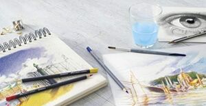 Studio Yassı Fırça No:12