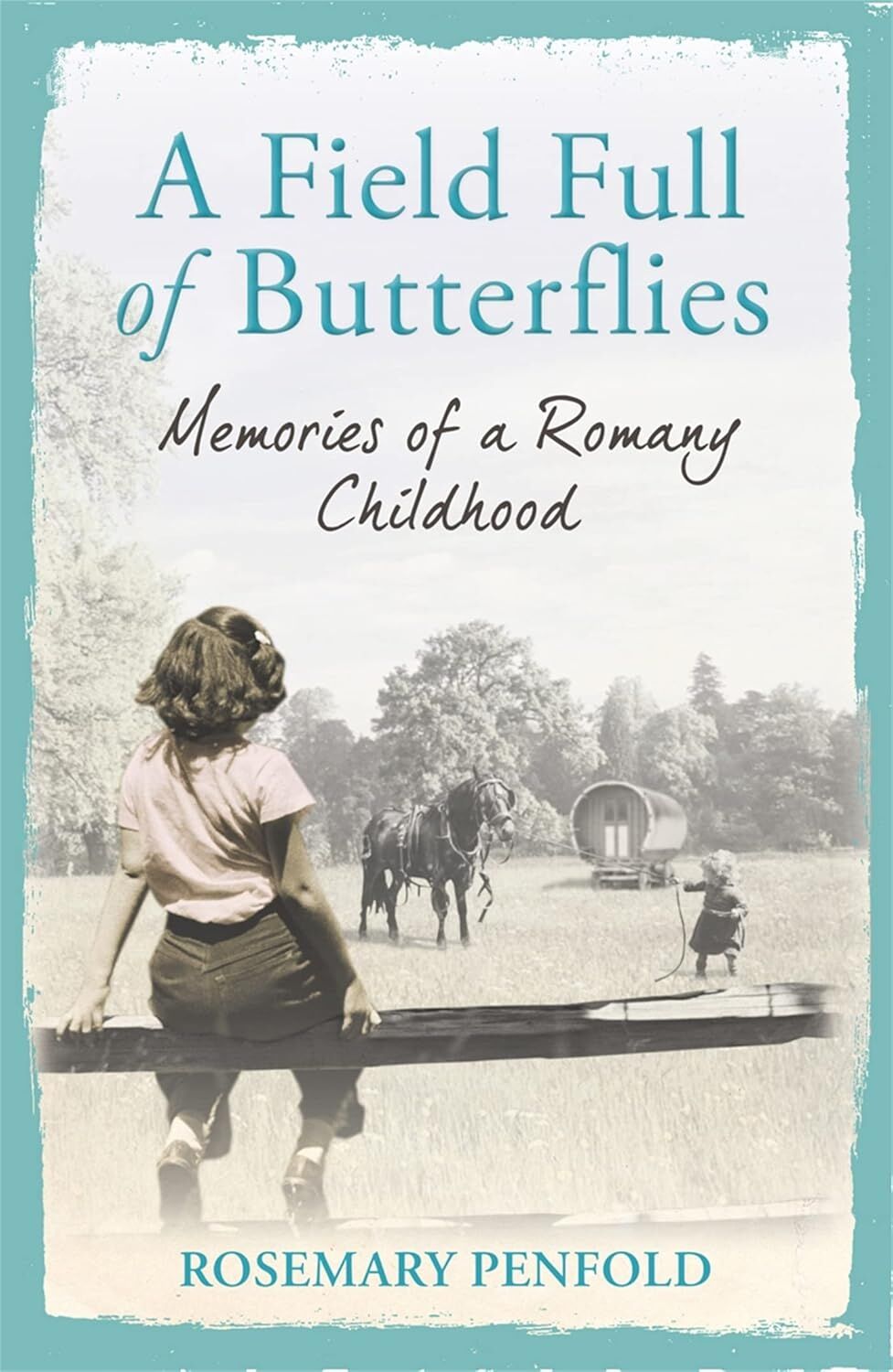 A Field Full Of Butterflies: Memories Of A Romany Childhood