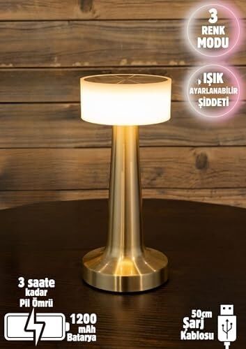 Dekoratif Şarjlı Dokunmatik LED Masa Lambası USB Kablolu Abajur ve Gece Lambası Altın