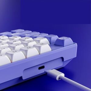 AK870 Mc Kablolu Mekanik Oyun Klavyesi Mor Klavye Red Switch