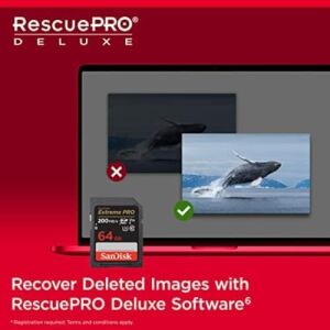 Extreme Pro Sdxc Uhs-I Hafıza Kartı 64 GB (V30, Aktarım Hızı 200 Mb/sn, U3, 4K UHD Videolar, Quickflow Teknolojisi, Isıya Dayanıklı)