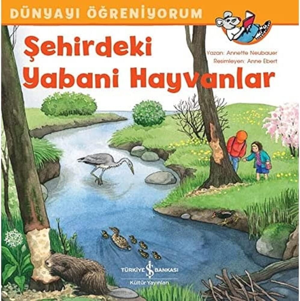 Dünyayı Öğreniyorum - Şehirdeki Yabani Hayvanlar