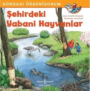 Dünyayı Öğreniyorum - Şehirdeki Yabani Hayvanlar