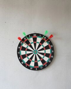 17 Inç Profesyonel Dart Tahtası Dayanıklı Yapı ve 4 Metal Dart Oku
