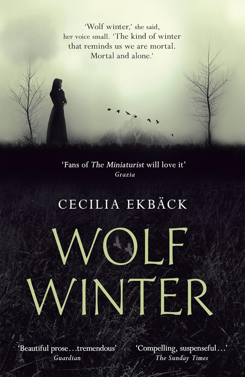 Wolf Winter: Winner Of The 2016 Hwa Goldsboro Debut Crown Award