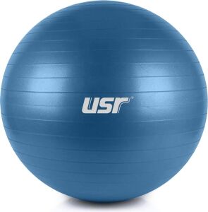Mavi Pilates Topu