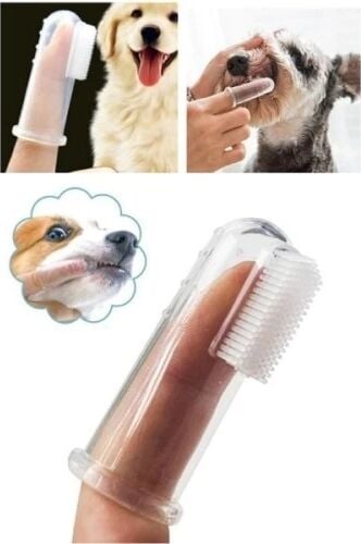Kedi Köpek Diş Temizleme Fırçası