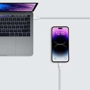 DL53W 1-Link cl Usb-C To Lightning Kablo 1.2m