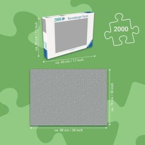 2000P Puzzle Kanatlı At, Yapboz