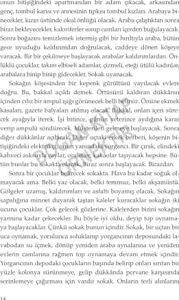 Kara Yarısı