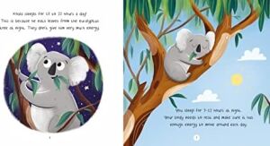 Healthy Habits: Koala's Guide To Sleep