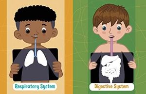 Jumbo Stickers For Little Hands: Human Body: Includes 75 Stickers: Volume 1