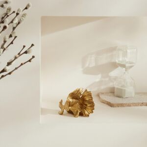 Home Rumble Fish Biblo, Gold