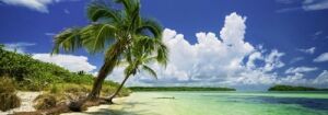 Heye Puzzle Paradise Palm 2000 Parça Panorama