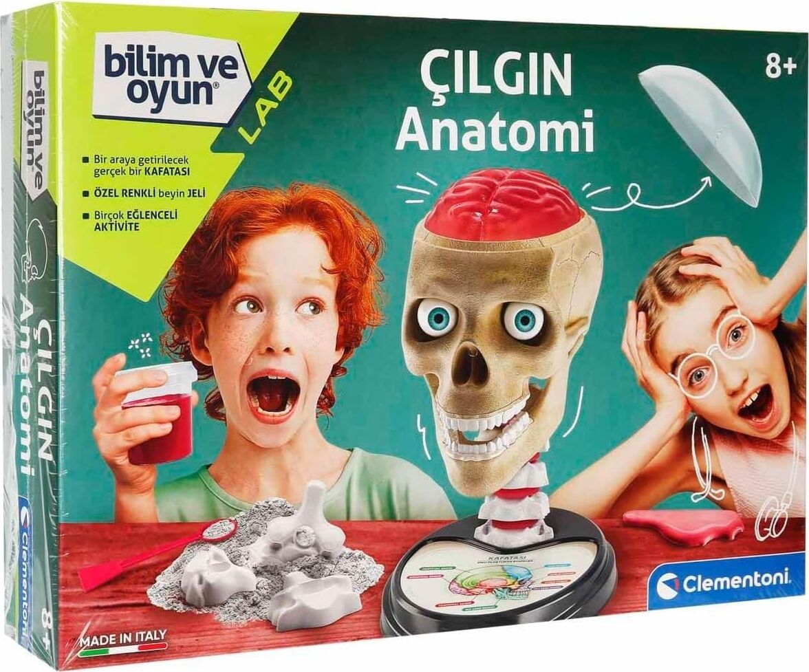 Bilim ve Oyun - Çılgın Anatomi Oyuncak