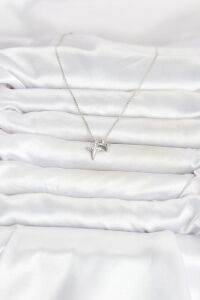 Pirinç Gümüş Renk Minimal Kutup Yıldızı Model Kadın Kolye