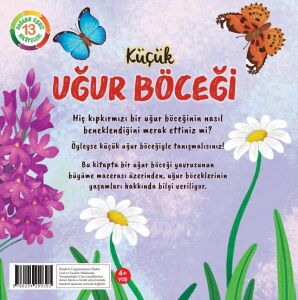 Küçük Uğur Böceği