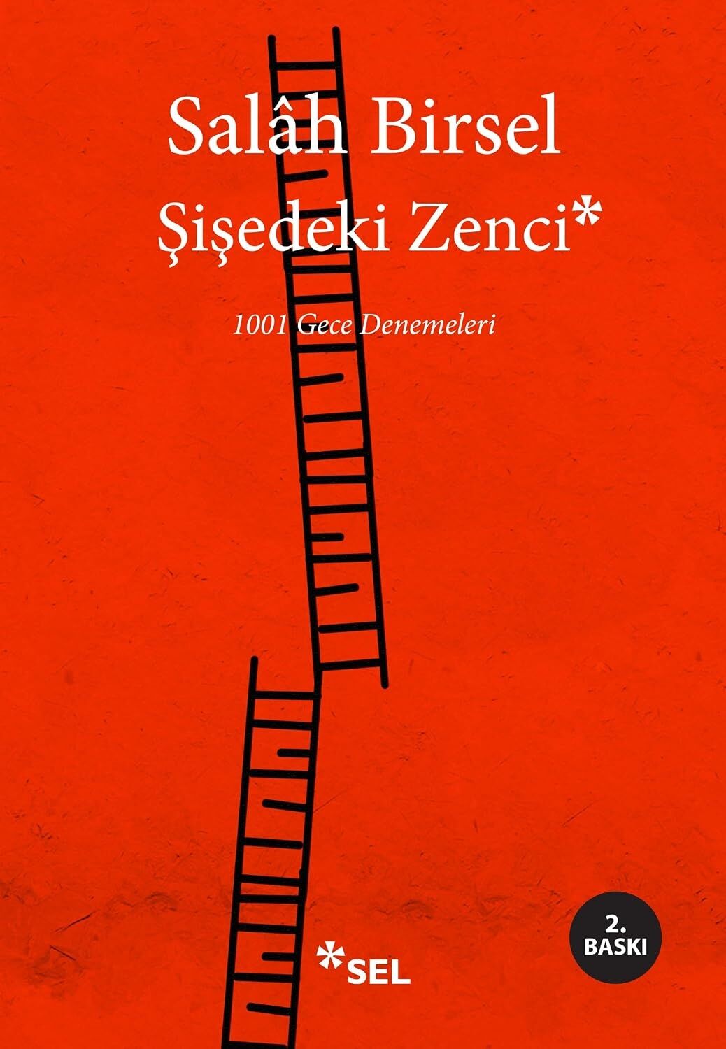 Şişedeki Zenci: 1001 Gece Denemeleri