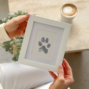 Tekli Evcil Hayvan Pati Izi ve Fotoğraf Çerçevesi - Kedi Köpek ve Kuş ile Uyumlu - Sadece Çerçeve