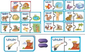 8513 Dıytoy 2 Li Kimin Yuvası Kutulu