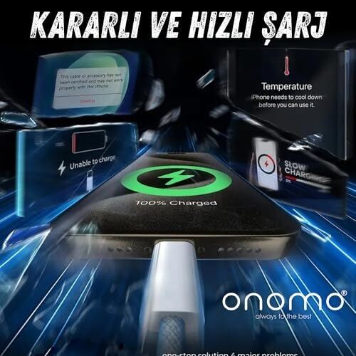 Type-C USB Şarj Kablosu, 60W Hızlı Şarj, 48 Telli Örgü Kablo, 2 Metre, Mavi