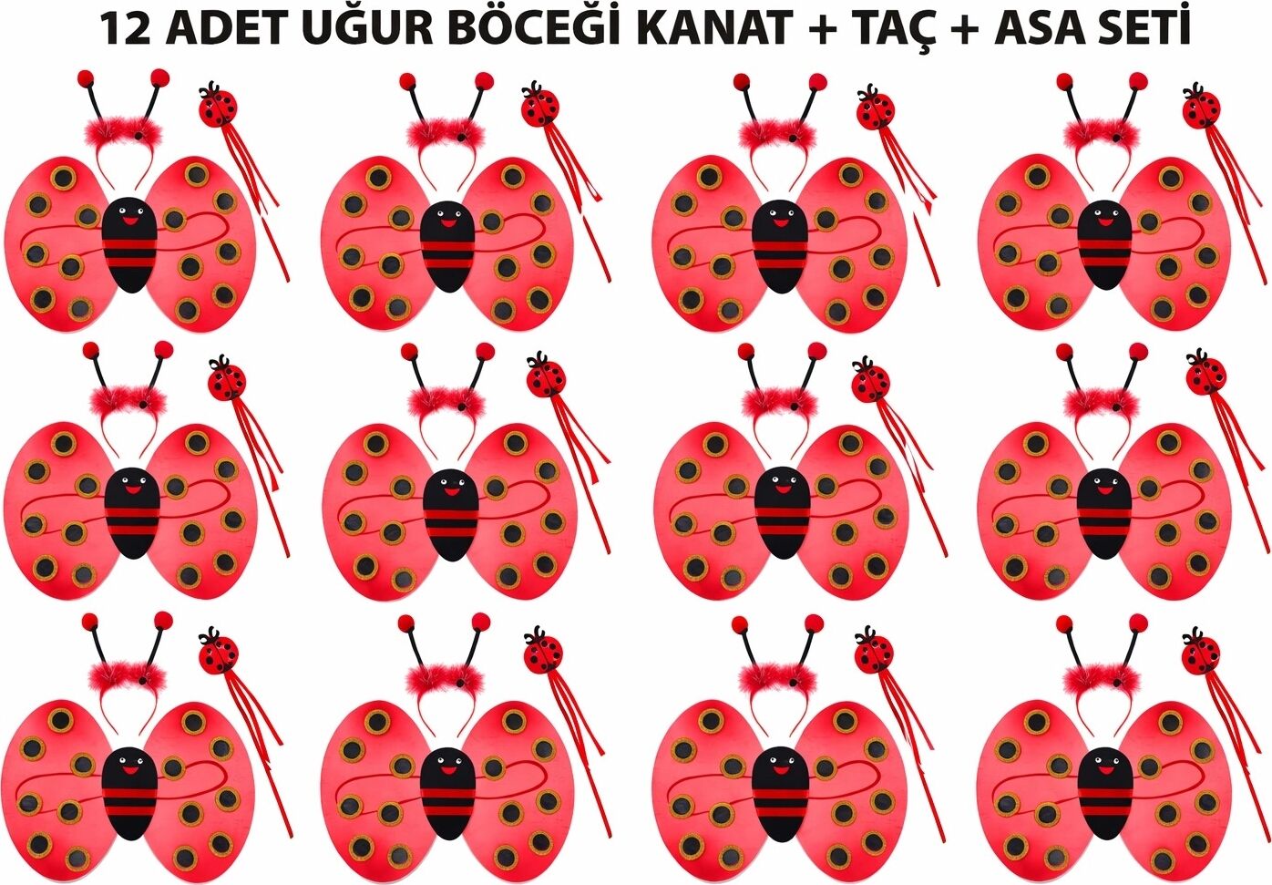 Uğur Böceği Kostüm Seti - Kanat Taç Asa 3 Parça 12 Adet