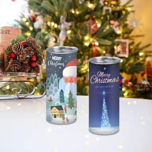 1 Paket Süblimasyon Bardakları 20OZ Sıska Paslanmaz Çelik Çift Duvar Yalıtımlı Düz Bardak Kapaklı ve Pipetli Toplu Bardak, Shrink Wrap, Kauçuk Taban, Shrink Wrap, Isı Transferi Için Ayrı Kutulu