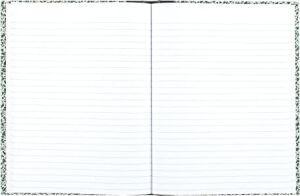 National 53010 Lab Notebook, Legal Rule, 10 1/8 x 7 7/8, Beyaz, 96 Yaprak