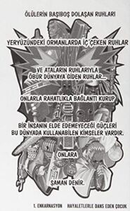 Shaman King - Şaman Kral 1. Cilt
