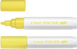 Pılot Pintor (M) - Sarı