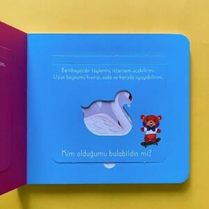 Bak - Bul - Sobe Gezgin Ayıcık