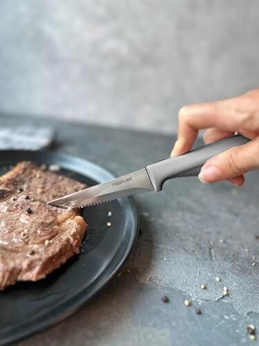Tırtıklı Steak Bıçağı,11 cm Gri D-NEOGEK011