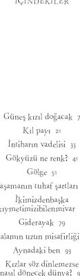 Şimdi Dönecek Dünya