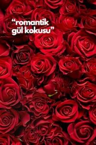 Rose- Gül Oda Kokusu Yedek Makine Spreyi 250 ml