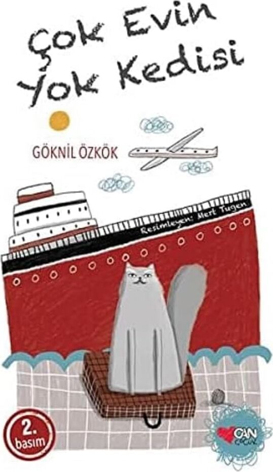 Çok Evin Yok Kedisi