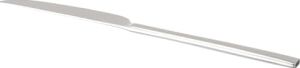 Flame Tekli Tatlı Bıçağı 22 cm