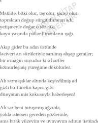 Yüz Aşk Sonesi